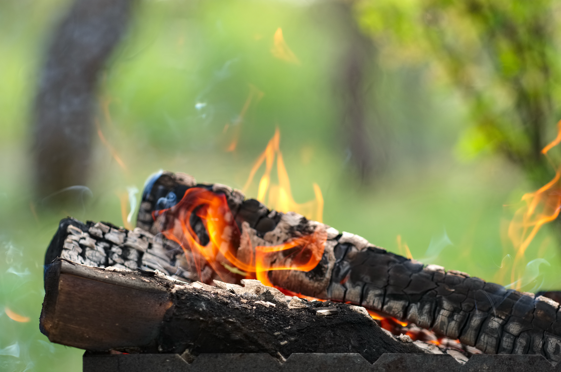 The Art and Benefits of Smudging with Sage