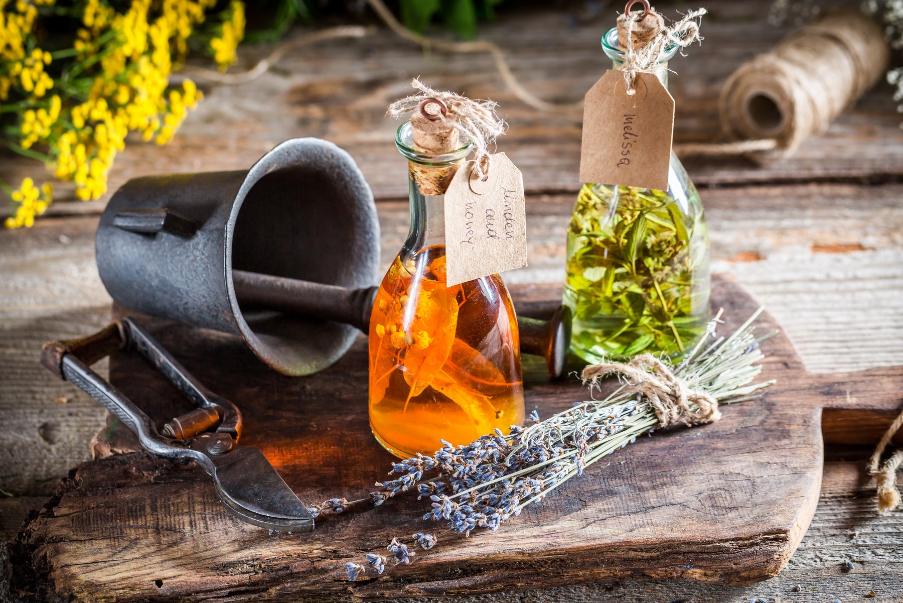 Nature's Cozy Embrace: Herbal Moments