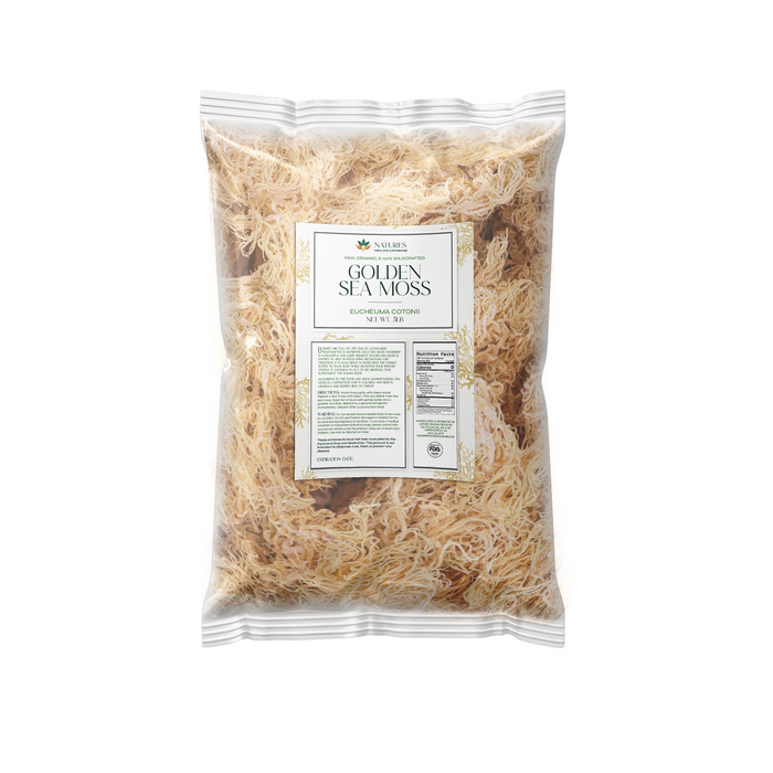 Golden Sea Moss