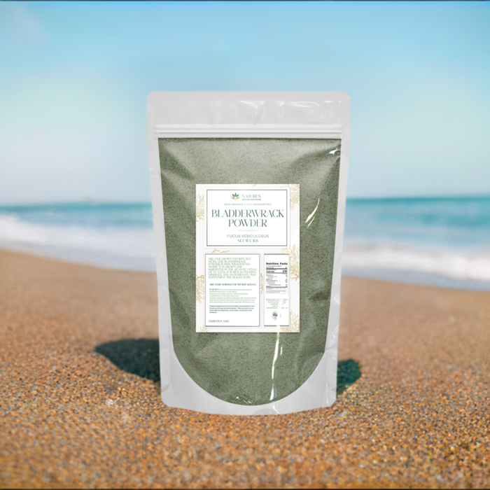 Bladderwrack Powder