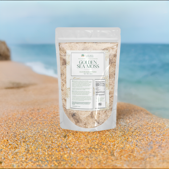 Golden Sea Moss