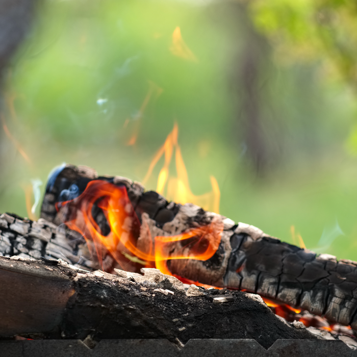 The Art and Benefits of Smudging with Sage