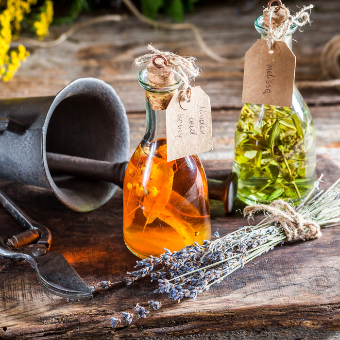 Nature's Cozy Embrace: Herbal Moments