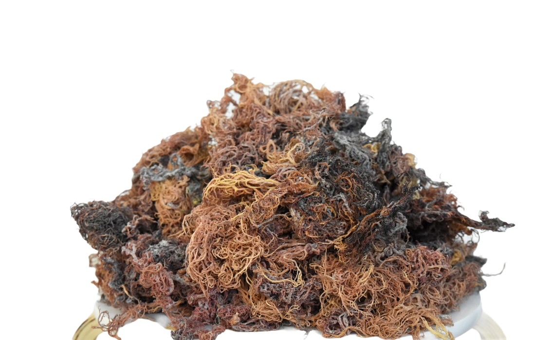 Wholesale Multi Sea Moss Raw