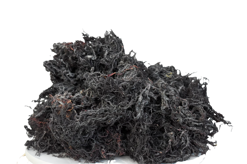 Wholesale Purple Sea Moss