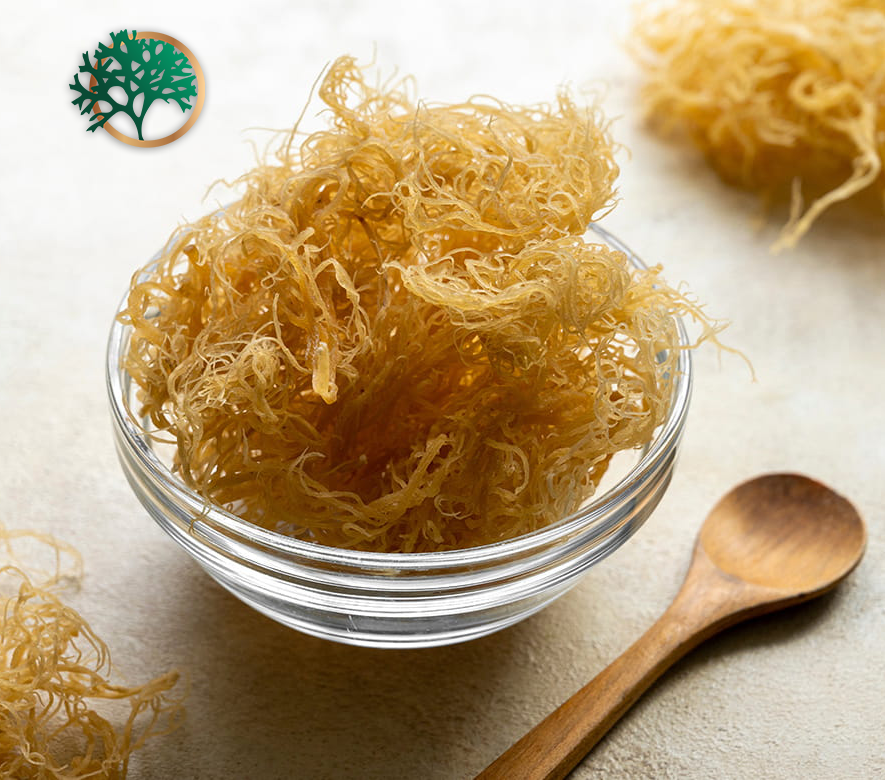 SEA MOSS BENEFITS