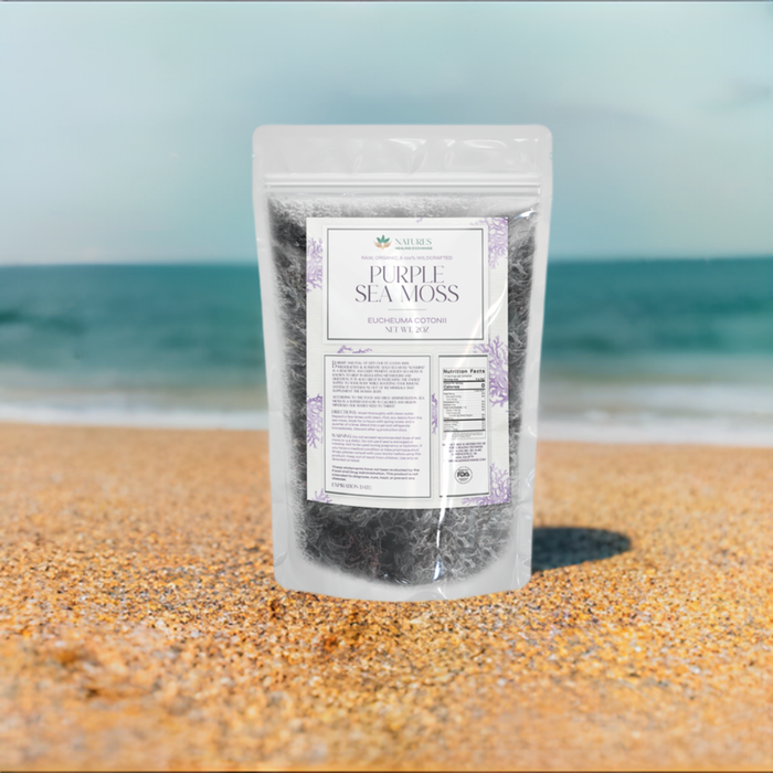 Purple Sea Moss