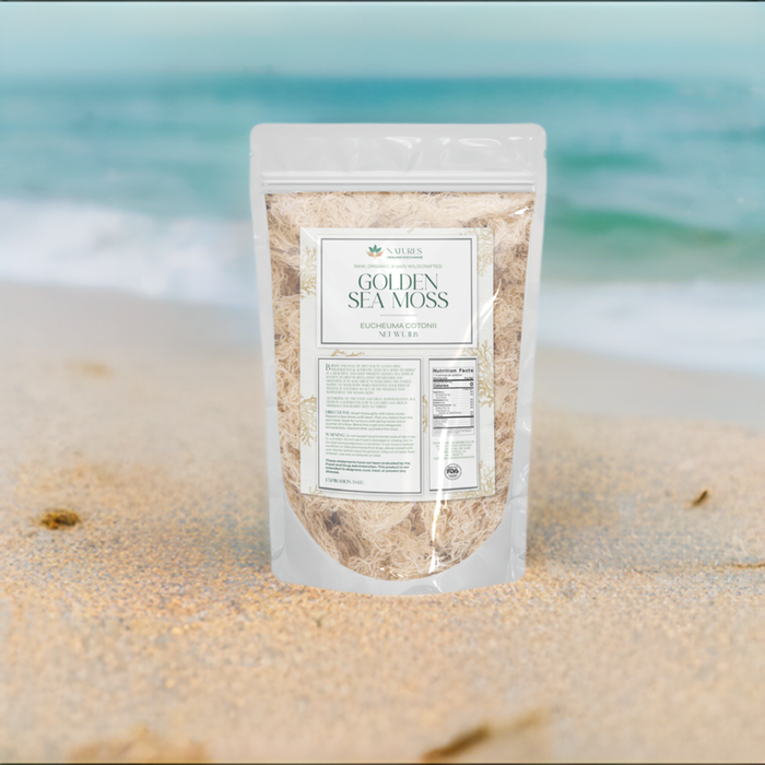 Golden Sea Moss